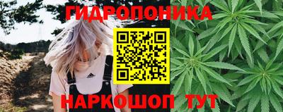 spice Балаково