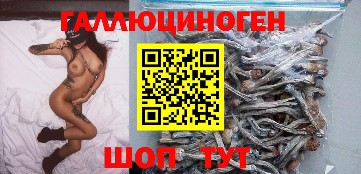 Псилоцибиновые грибы мухоморы Гусиноозёрск