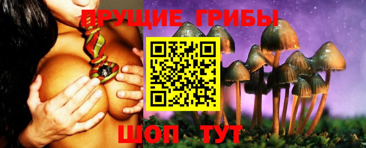 Гусиноозёрск  Галлюциногенные грибы Magic Shrooms  Вход с VPN 
